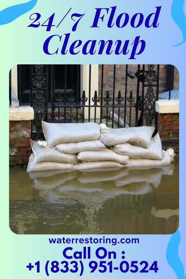 24/7 Flood Cleanup in The Lakes, MN