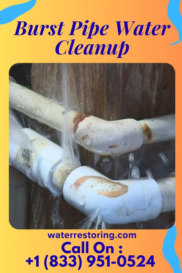 Burst Pipe Water Cleanup in The Lakes, MN