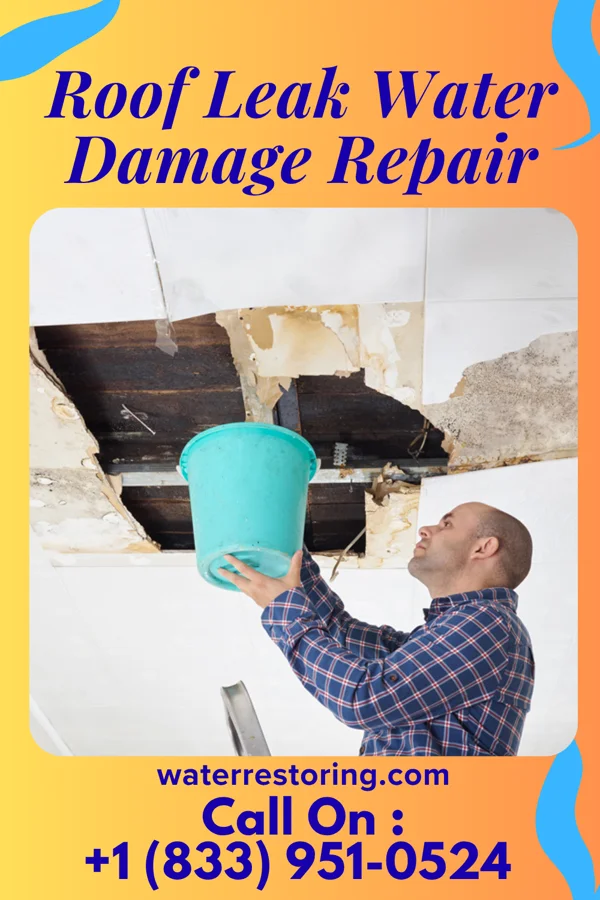 Roof Leak Water Damage Repair in The Lakes, MN