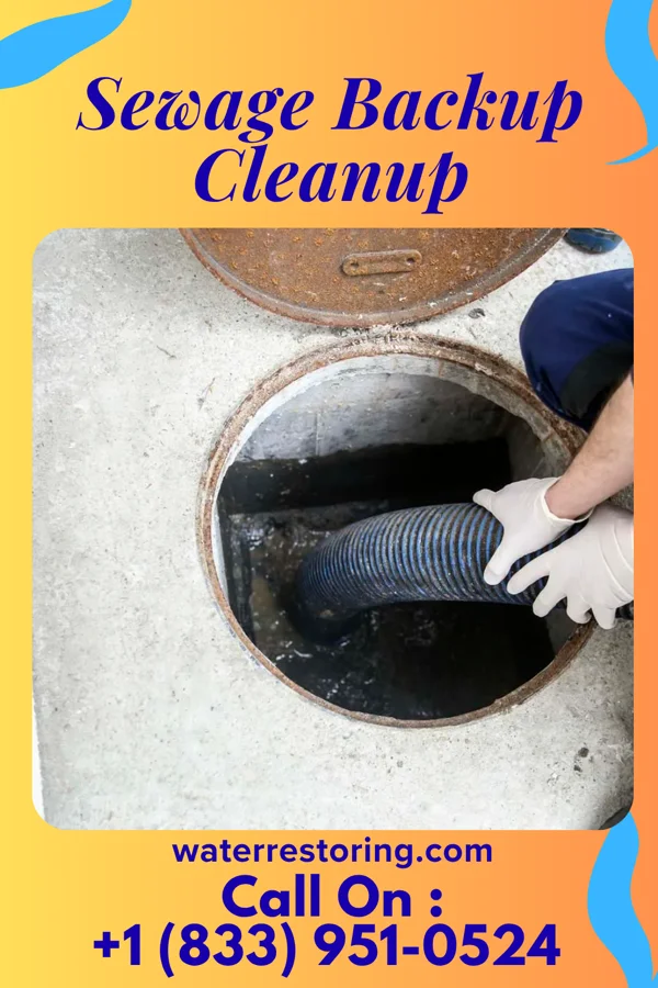 Sewage Backup Cleanup in The Lakes, MN